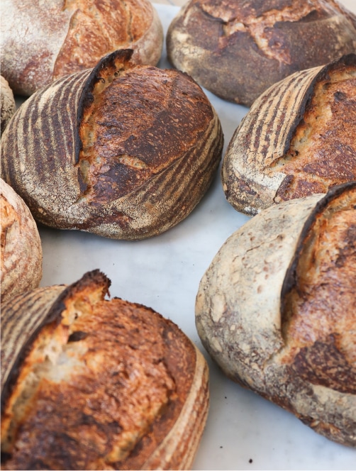 Sourdough Bread